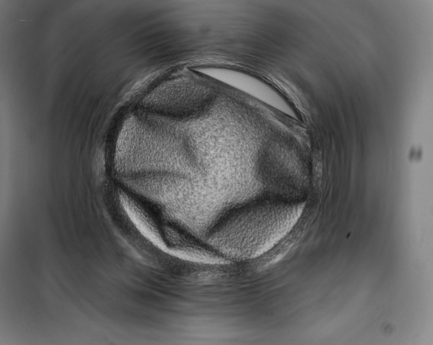 X0000099470158200805301604