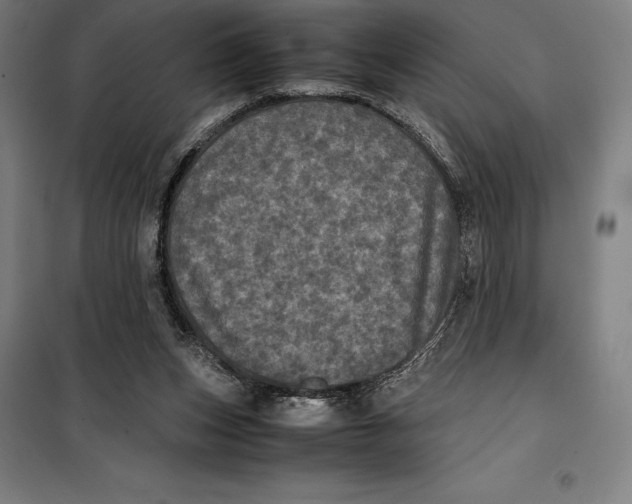 X0000099470159200805301604