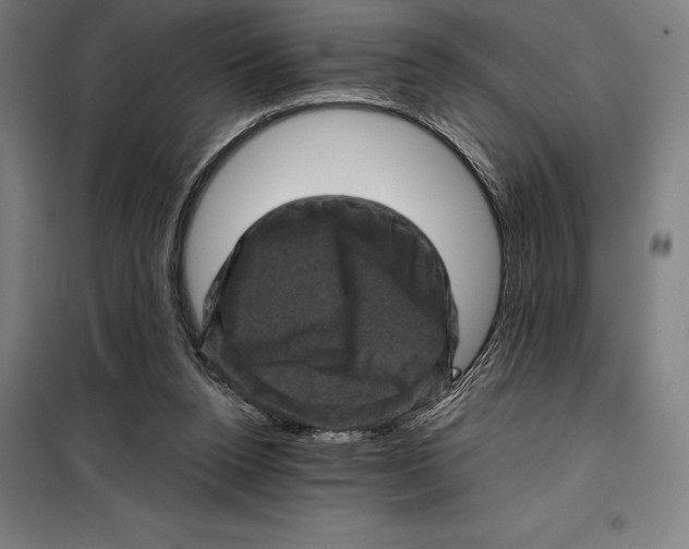 X0000099470160200805301604