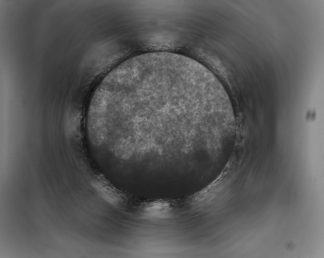 X0000099470162200805301604