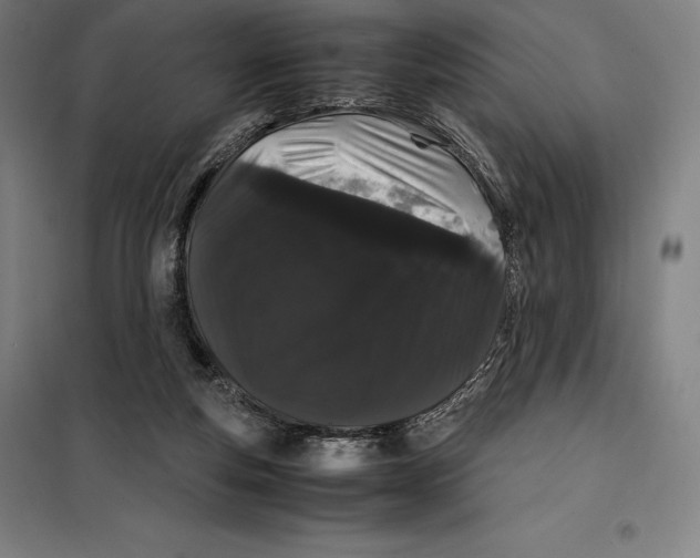 X0000099470163200805301604