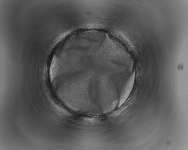 X0000099470164200805301604