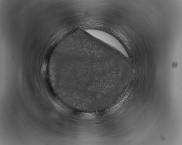 X0000099470166200805301604