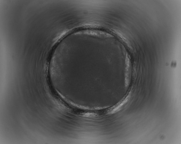 X0000099470168200805301604