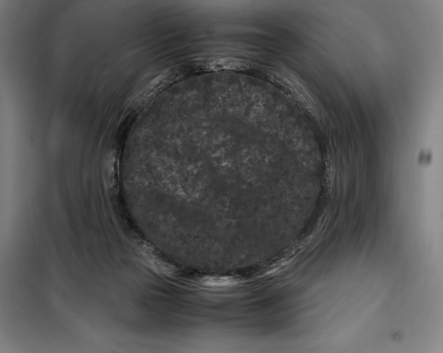 X0000099470169200805301604