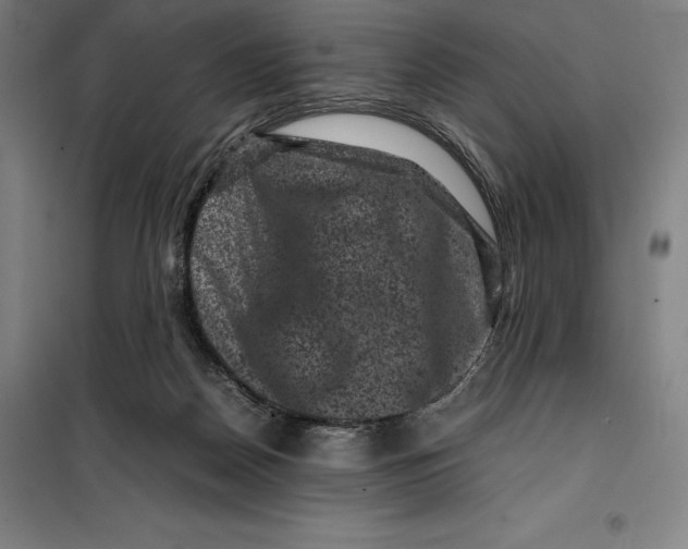 X0000099470170200805301604