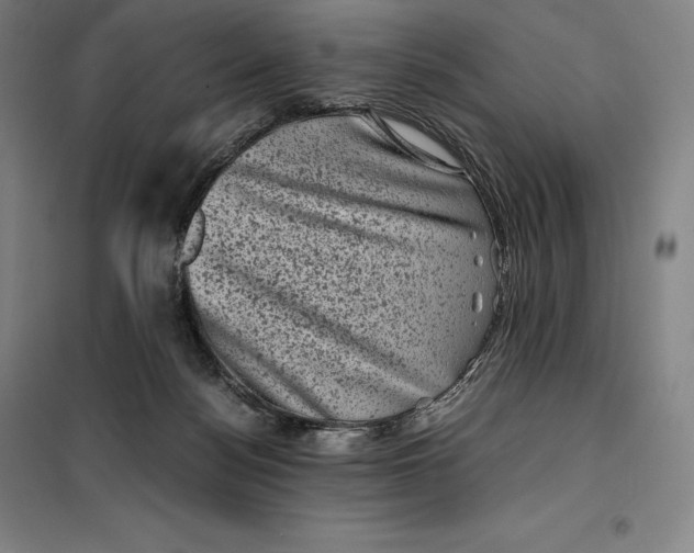 X0000099470172200805301604