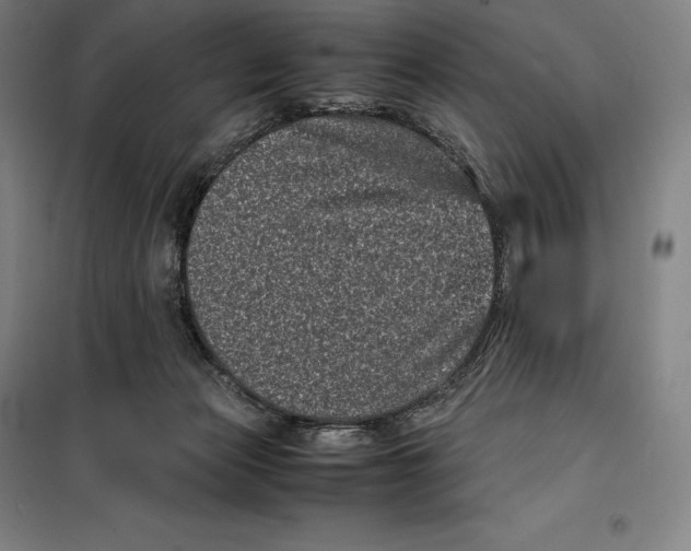 X0000099470173200805301604