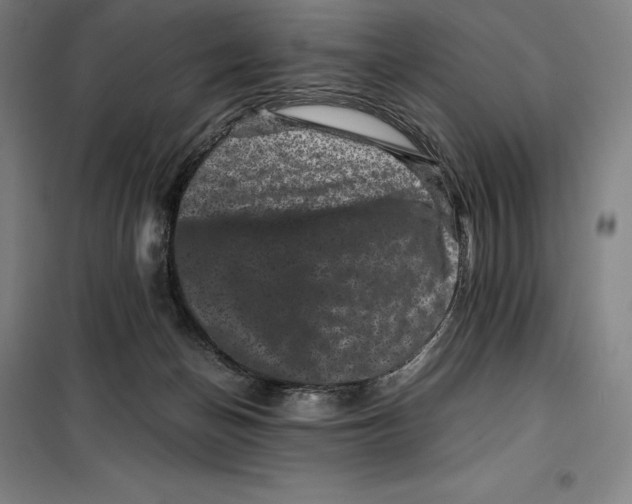 X0000099470174200805301604