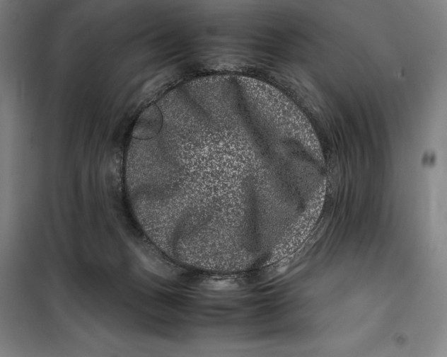 X0000099470175200805301604