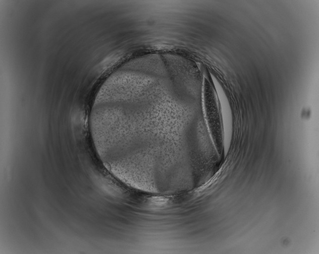 X0000099470176200805301604