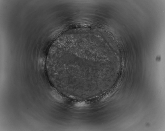 X0000099470177200805301604