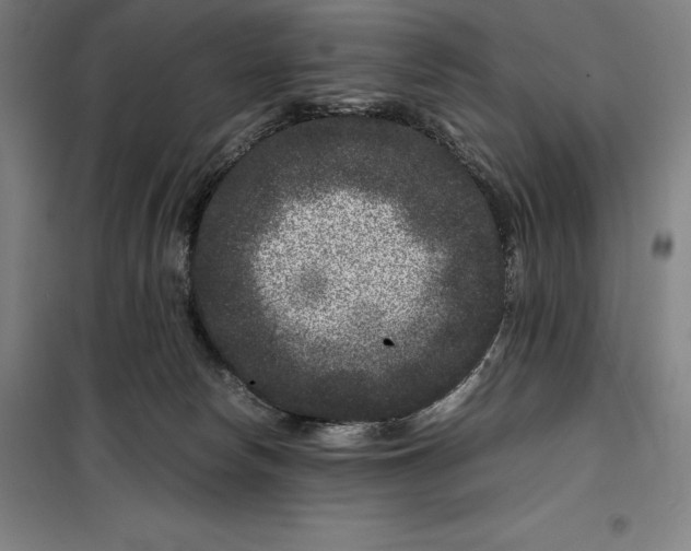 X0000099470178200805301604