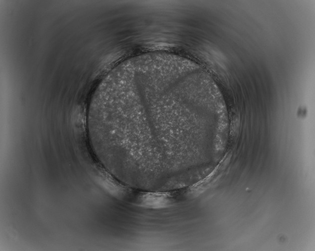 X0000099470179200805301604