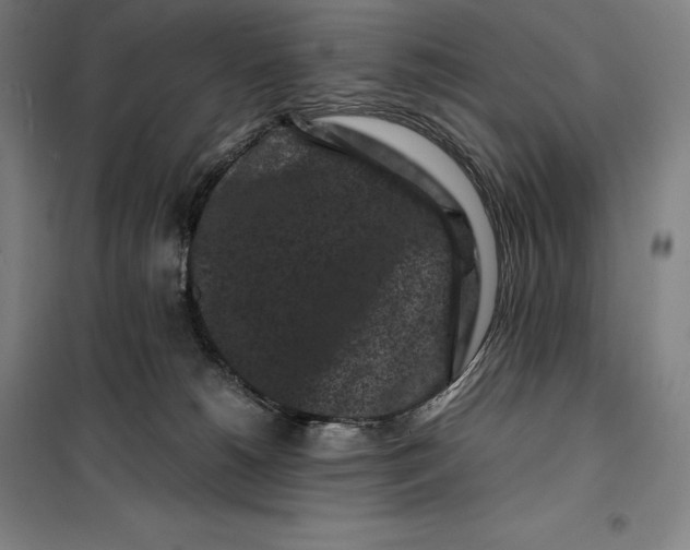 X0000099470180200805301604