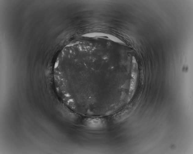 X0000099470181200805301604