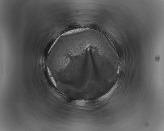 X0000099470182200805301604