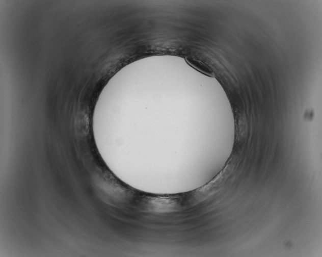 X0000099470183200805301604