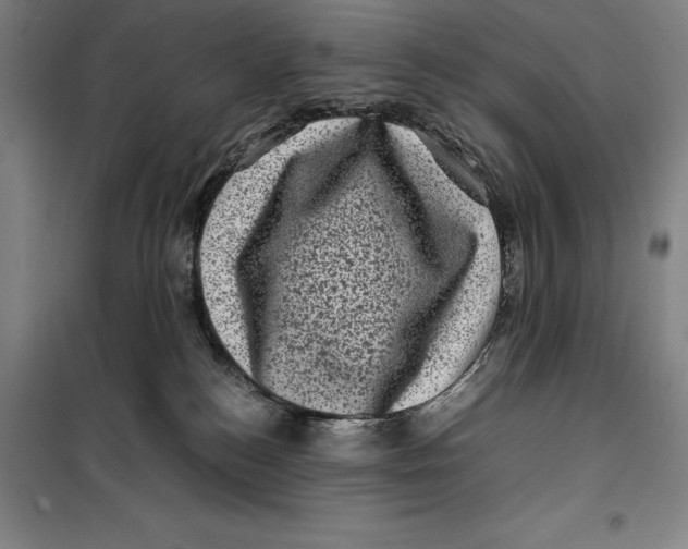 X0000099470184200805301604