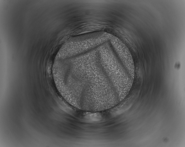 X0000099470185200805301604