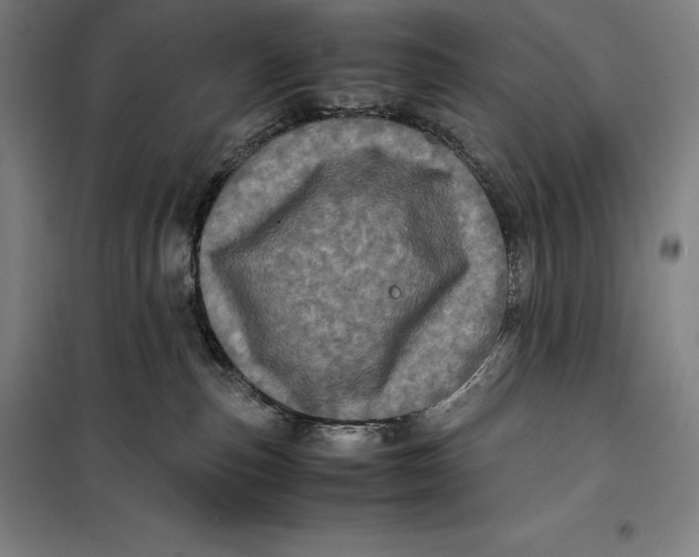 X0000099470187200805301604