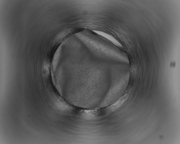 X0000099470188200805301604