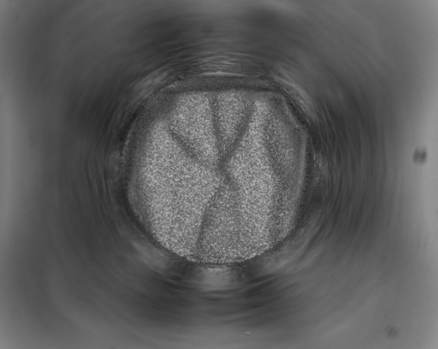 X0000099470189200805301604