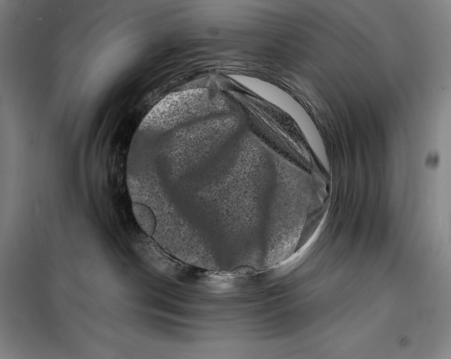 X0000099470190200805301604