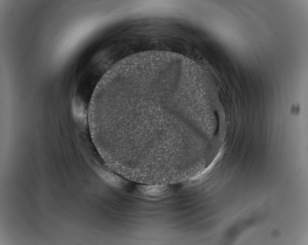 X0000099470191200805301604