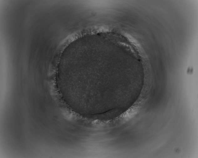 X0000099470192200805301604