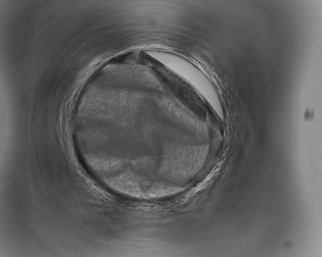 X0000099470193200805301603