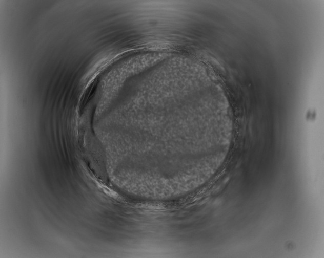 X0000099470194200805301603