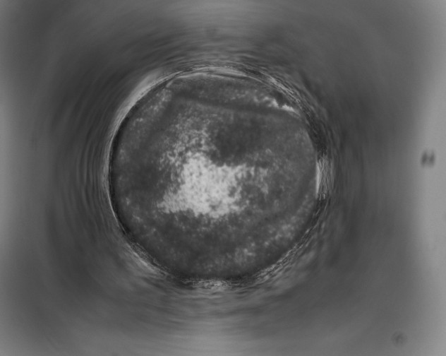 X0000099470195200805301603