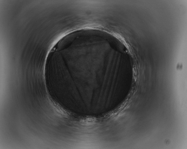 X0000099470196200805301603