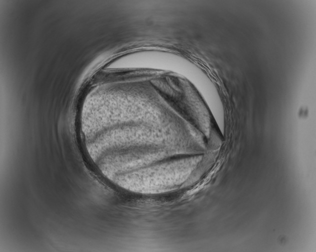 X0000099470197200805301603