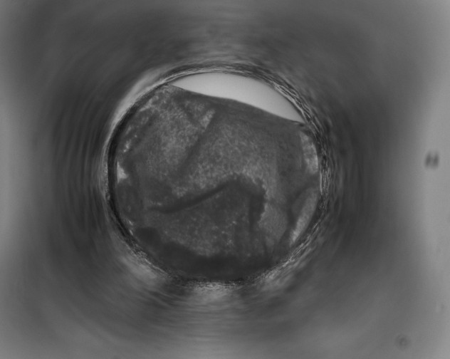 X0000099470198200805301603