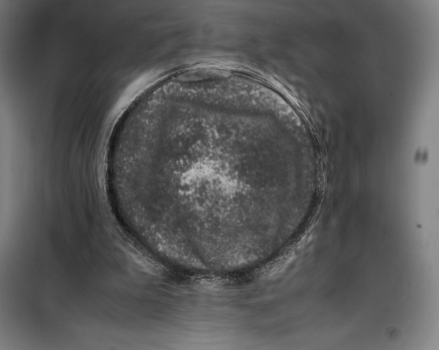 X0000099470199200805301603