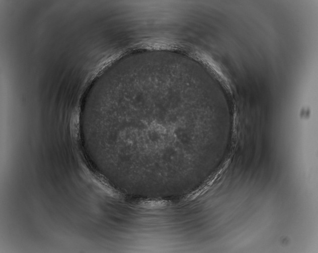 X0000099470202200805301603