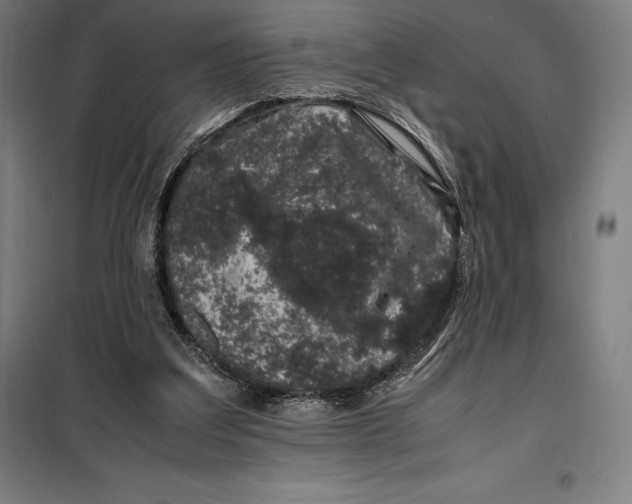 X0000099470203200805301603