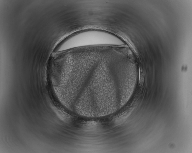 X0000099470204200805301603