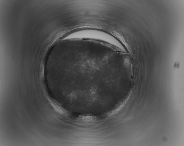 X0000099470205200805301603