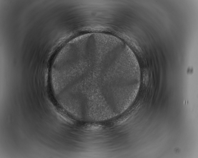 X0000099470206200805301603