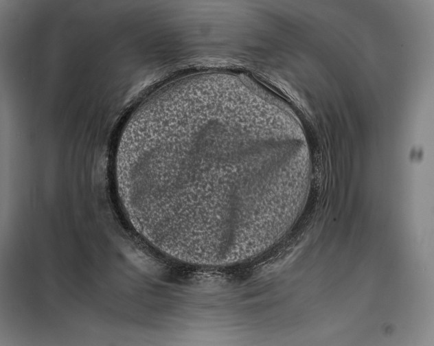 X0000099470207200805301603