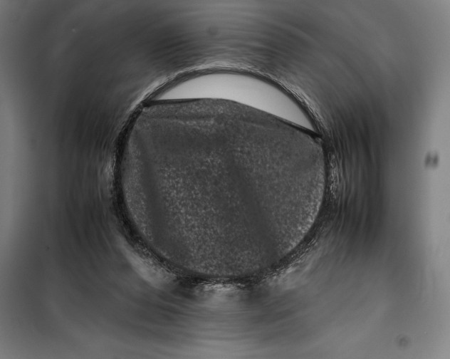 X0000099470208200805301603