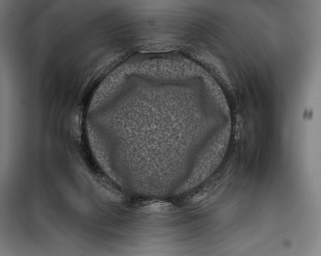 X0000099470210200805301603