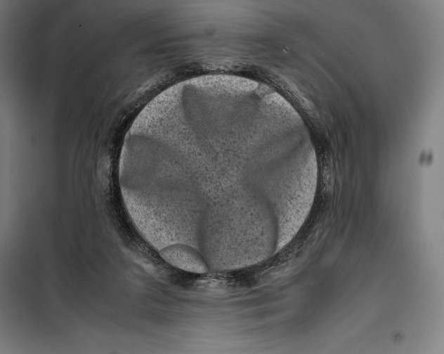 X0000099470211200805301603