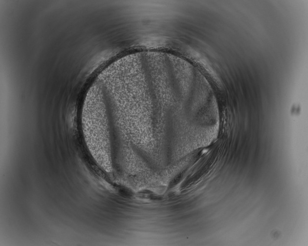 X0000099470212200805301603