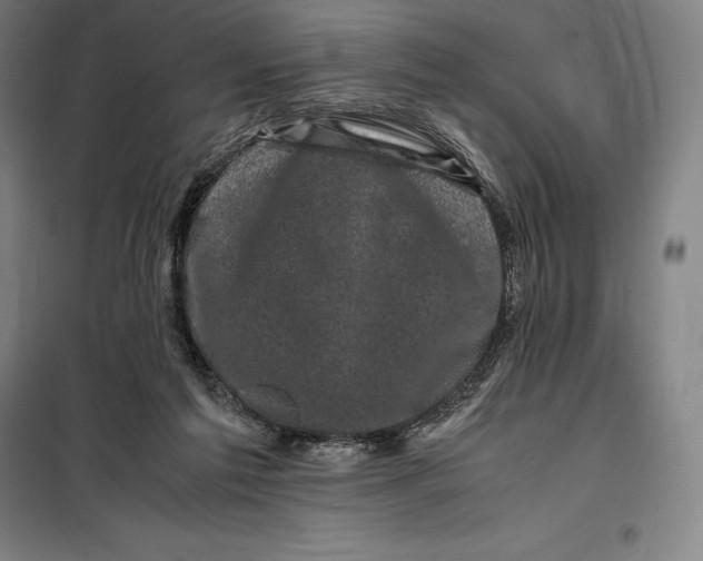 X0000099470213200805301603