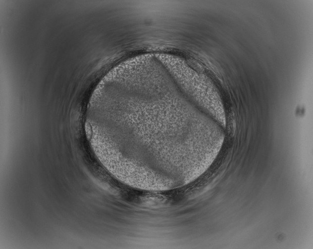 X0000099470215200805301603