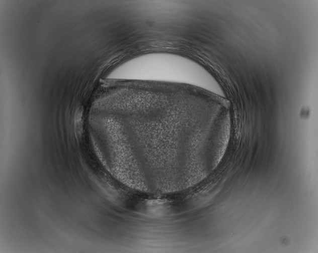 X0000099470216200805301603